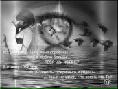 Фотография Михайловой Натальи