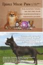 Фотография Креминой Марины