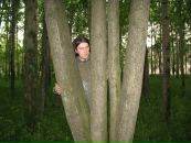 Фотография Михеева Сергея