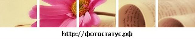 Аліна Карпенко фотография #38 (источник - https://vk.com/id116023377)