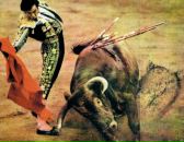 Фотография Osipov Andrey