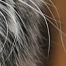 Виктор Арфеев фотография #38 (источник - https://vk.com/id38807040)