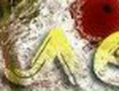 Оля Ломянська фотография #12 (источник - https://vk.com/id143404028)