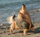 Дмитрий Пономарев фотография #44 (источник - https://vk.com/id877169)