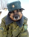 Фотография Паша Микрюков