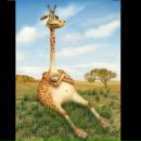 Фотография Носыревой Юлии