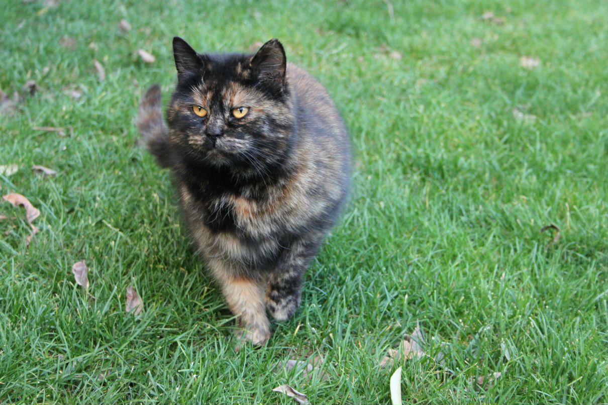 Сергей Березин фотография #11