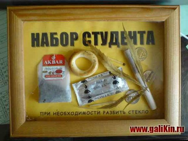 Дмитрий Речиц фото №26