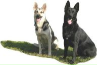 Ярик Сусляк фотография #3 (источник - https://vk.com/id6677792)