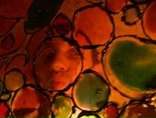 Фотография Зайченко Николая