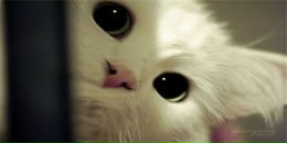 Фотография Захарьева Макара