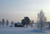 Фотография Титовой Ксении