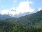 Фотография Емелиной Валентинки