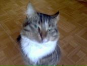 Фотография Рам Барии