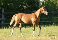 Фотография Ачик Натальи