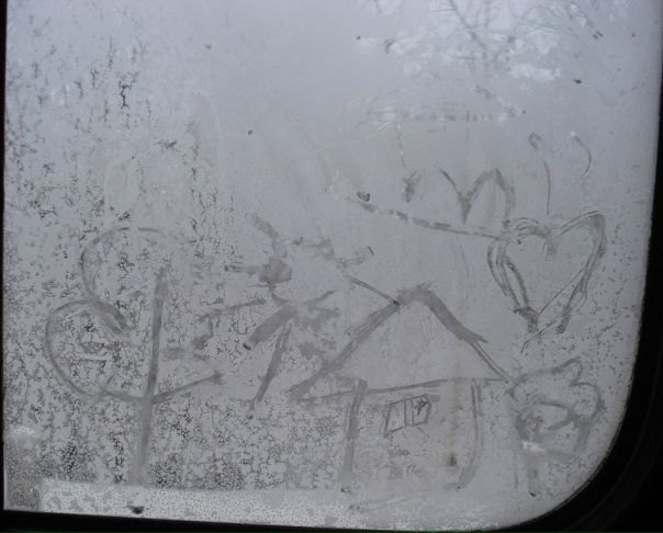 Елена Горлова фото №7