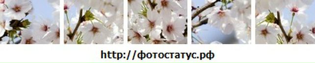 Таня Ілійчук фотография #30 (источник - https://vk.com/id61418361)