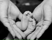 Фотография Недзвецкой Даши