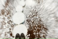 Фотография Кузнецовой Алии