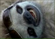 Фотография Отрокова Дениса