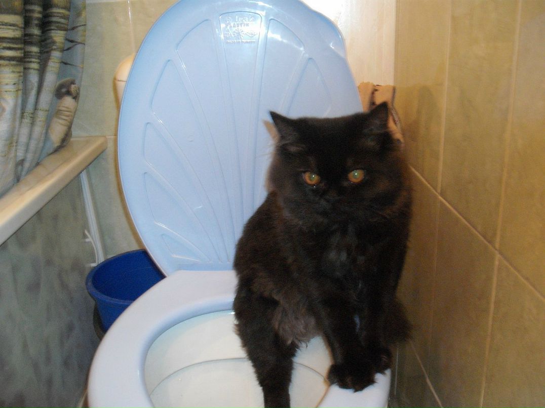 Владислав Плотников фотография #14