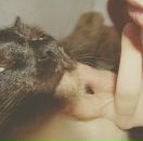 Фотография Фонарёвой Юлии