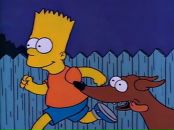 Фотография Егорова Ромы