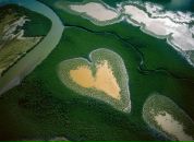 Фотография Куриленко Лилии