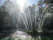 Фотография Манусовой Ольги