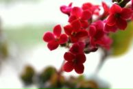 Фотография Дрозд Светланы