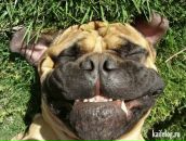 Серёга Симаев фотография #29 (источник - https://vk.com/id4818376)