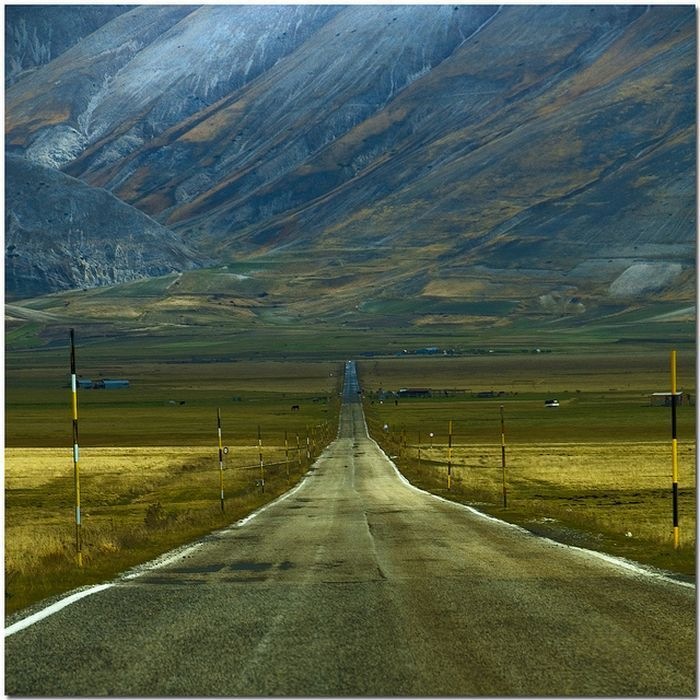 Николай Логинов фотография #32