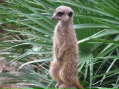 Фотография Хаджинова Сергея