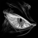 Фотография Долженкова Жени