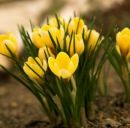 Лінуся Приходько фотография #6 (источник - https://vk.com/id167316602)