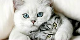 Анна Чабуркіна фотография #50 (источник - https://vk.com/id52105753)