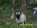 Фотография Литл Наташи