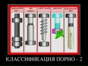 Алина Медкова фотография #18 (источник - https://vk.com/id419266051)