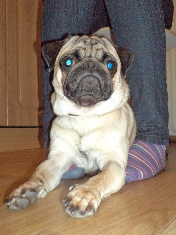 Дмитрий Никитенко фотография #26