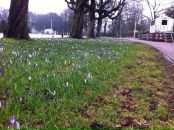 Александр Мищенков фотография #7 (источник - https://vk.com/id852994)