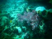 Евгений Мурышкин фотография #19 (источник - https://vk.com/id107583)