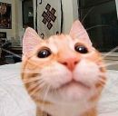 Фотография Колева Евгения