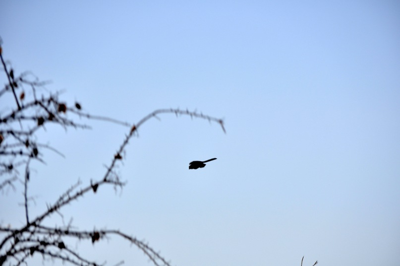 Иван Руденко фотография #36