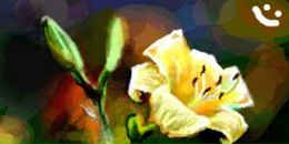 Сашка Радько фотография #26 (источник - https://vk.com/id239253)