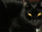 Фотография Жуковой Ирины