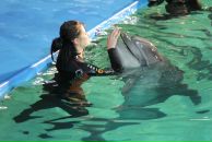 Фотография Павлов Александр