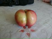 Max Shultz фотография #32 (источник - https://vk.com/id9620287)