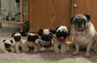 Фотография Кондр Елены