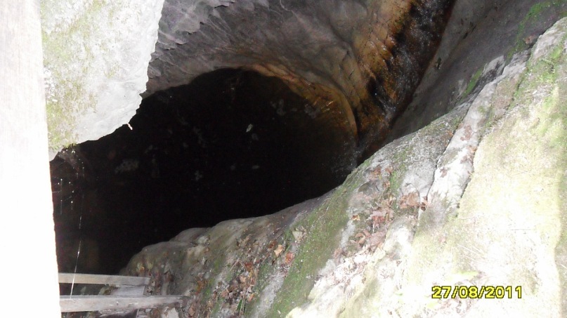 Ольга С фотография #46