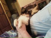 Фотография Антоновой Ирины